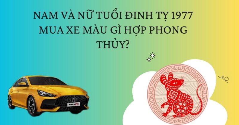 Mau sac may man va thuan loi cho nguoi sinh nam 1977 menh Tho
